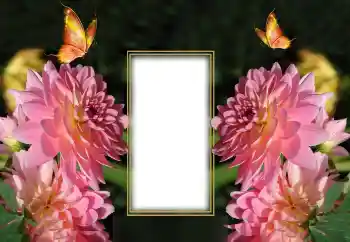 照片效果分类 女性相框 № 150649