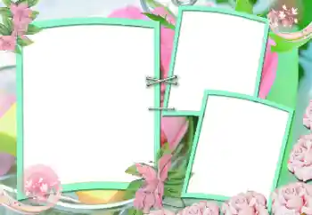 照片效果分类 女性相框 № 151690