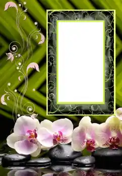 照片效果分类 女性相框 № 151707