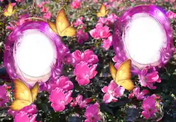 照片效果分类 女性相框 № 151815