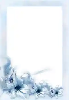 照片效果分类 女性相框 № 152955