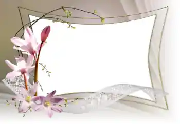照片效果分类 女性相框 № 153036