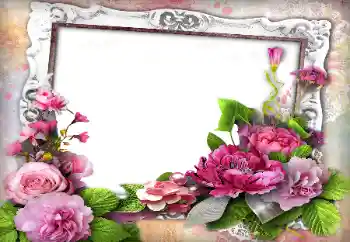 照片效果分类 女性相框 № 153059