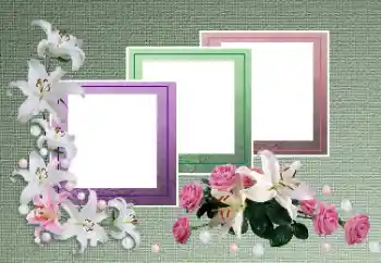 照片效果分类 女性相框 № 153181