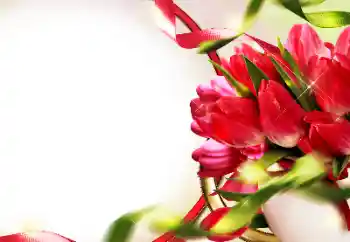 照片效果分类 女性相框 № 153228