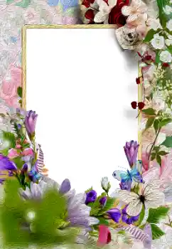 照片效果分类 女性相框 № 154287