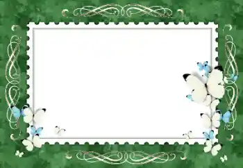 照片效果分类 女性相框 № 154319