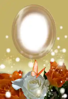 照片效果分类 女性相框 № 154504