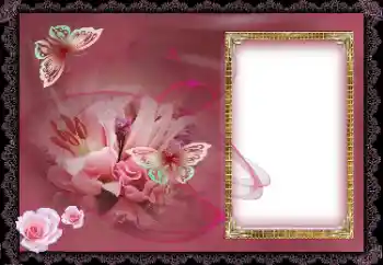 照片效果分类 女性相框 № 154637