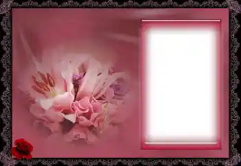 照片效果分类 女性相框 № 154665