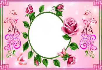 照片效果分类 女性相框 № 154762