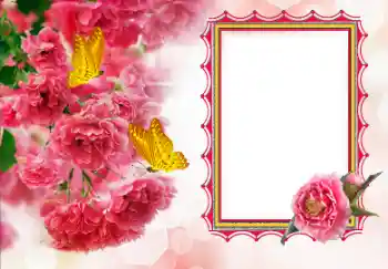 照片效果分类 女性相框 № 155792