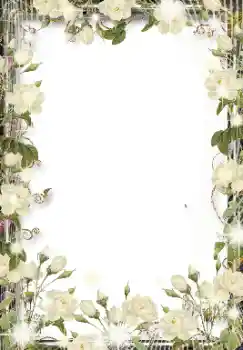 照片效果分类 女性相框 № 155846