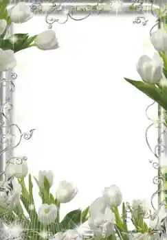 照片效果分类 女性相框 № 155849