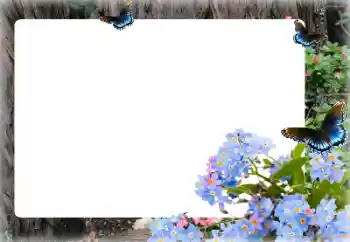 照片效果分类 女性相框 № 155873