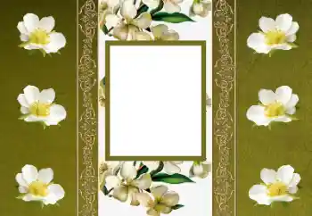 照片效果分类 女性相框 № 155880