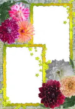 照片效果分类 女性相框 № 155888