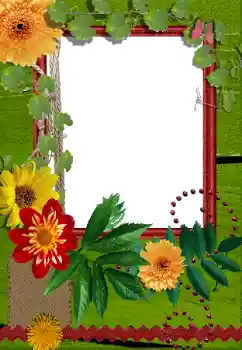 照片效果分类 女性相框 № 155889