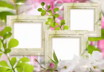 照片效果分类 女性相框 № 155999 照片效果分类 女性相框 № 155999