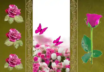 照片效果分类 女性相框 № 156050 照片效果分类 女性相框 № 156050