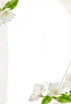 照片效果分类 女性相框 № 157069 照片效果分类 女性相框 № 157069
