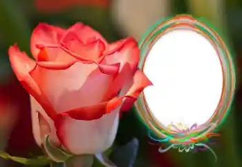 照片效果分类 女性相框 № 157090 照片效果分类 女性相框 № 157090