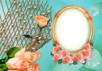 照片效果分类 女性相框 № 157126 照片效果分类 女性相框 № 157126