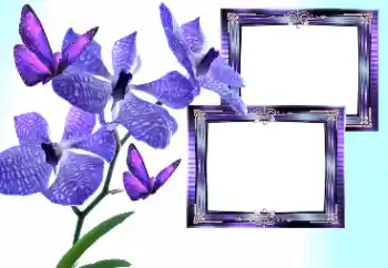 照片效果分类 女性相框 № 157133 照片效果分类 女性相框 № 157133