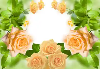 照片效果分类 女性相框 № 158383 照片效果分类 女性相框 № 158383