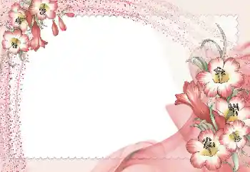 照片效果分类 女性相框 № 15965 照片效果分类 女性相框 № 15965