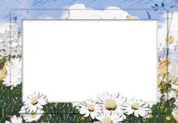 照片效果分类 女性相框 № 16006