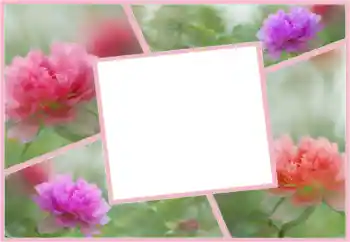 照片效果分类 女性相框 № 160554 照片效果分类 女性相框 № 160554