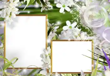 照片效果分类 女性相框 № 160610 照片效果分类 女性相框 № 160610