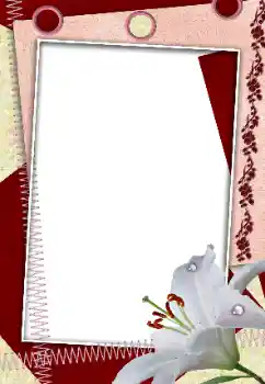 照片效果分类 女性相框 № 160618