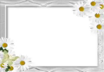 照片效果分类 女性相框 № 16071