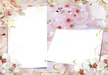 照片效果分类 女性相框 № 160739 照片效果分类 女性相框 № 160739