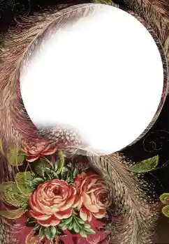 照片效果分类 女性相框 № 160763 照片效果分类 女性相框 № 160763