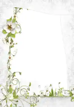 照片效果分类 女性相框 № 160795 照片效果分类 女性相框 № 160795