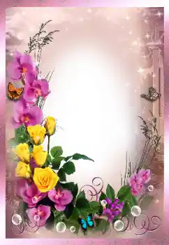 照片效果分类 女性相框 № 160857 照片效果分类 女性相框 № 160857
