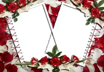 照片效果分类 女性相框 № 160866 照片效果分类 女性相框 № 160866