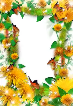 照片效果分类 女性相框 № 1612