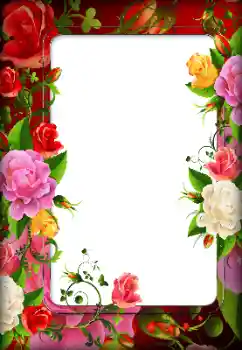 照片效果分类 女性相框 № 162045