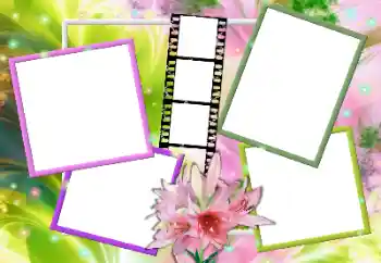 照片效果分类 女性相框 № 163255