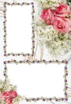 照片效果分类 女性相框 № 163256