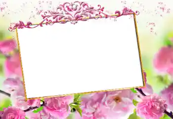 照片效果分类 女性相框 № 163327 照片效果分类 女性相框 № 163327