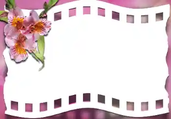 照片效果分类 女性相框 № 163337 照片效果分类 女性相框 № 163337