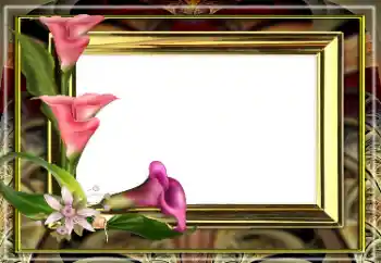 照片效果分类 女性相框 № 163528 照片效果分类 女性相框 № 163528