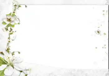 照片效果分类 女性相框 № 163602 照片效果分类 女性相框 № 163602
