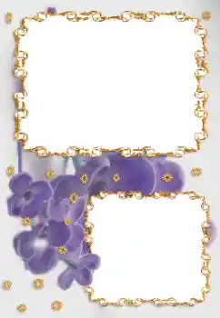 照片效果分类 女性相框 № 164696 照片效果分类 女性相框 № 164696