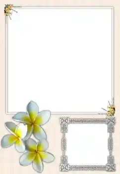 照片效果分类 女性相框 № 164699 照片效果分类 女性相框 № 164699